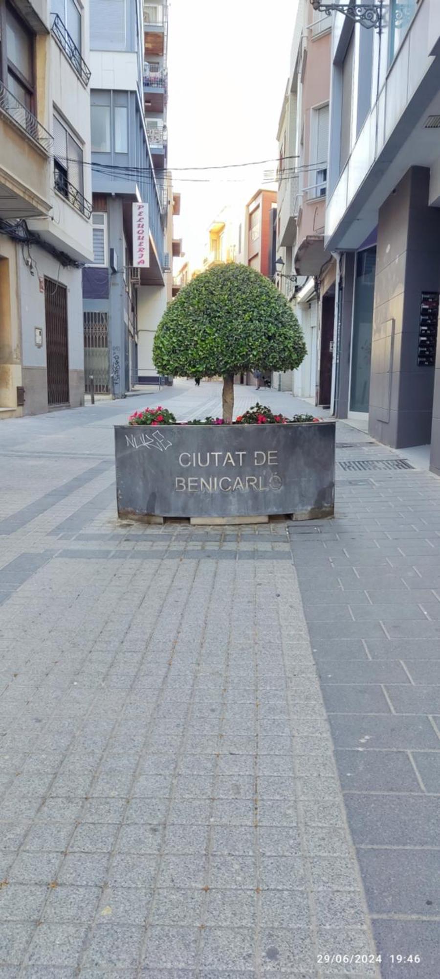Holamar Benicarló Esterno foto